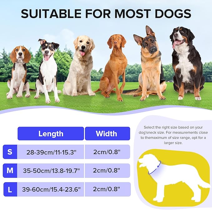 Light Up Dog Collar, Adjustable USB Rechargeable Glow in Dark Dog Collar ，Waterproof Dog Collars