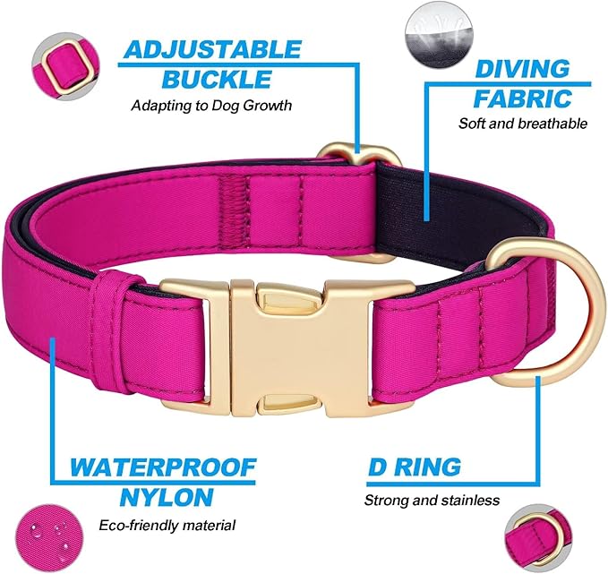 Didog Soft Padded Dog Collars for Small Dogs, Colorful and Durable Dog Collar with Quick Release
