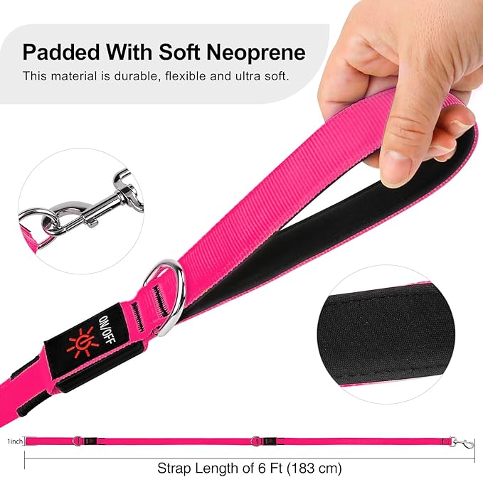 Colaseeme Light Up Dog Leash, LED Pet Leashes USB Rechargeable, Glow Safety Dogs Lights at Night