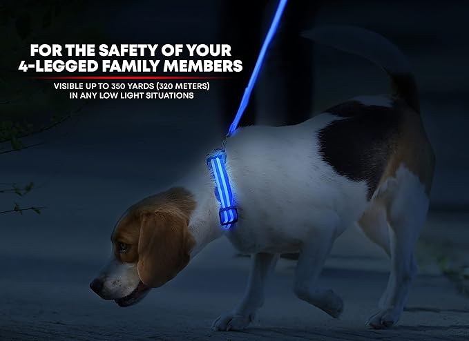Illumiseen LED Dog Collar USB Rechargeable - Bright & High Visibility Lighted Glow Collar for Pet