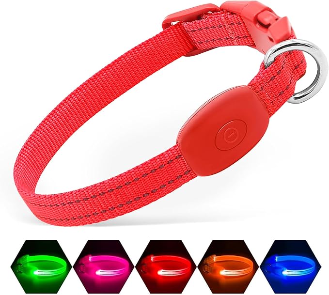 Illumifun Light Up Collar for Small Dogs, USB Rechargeable LED Dog Collar Glow in The Dark
