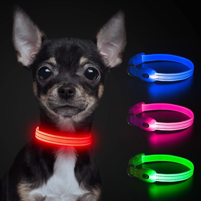 YFbrite Light up Dog Collars for Night Walking, Rechargeable LED Cat Collar, Comfortable Adjustable