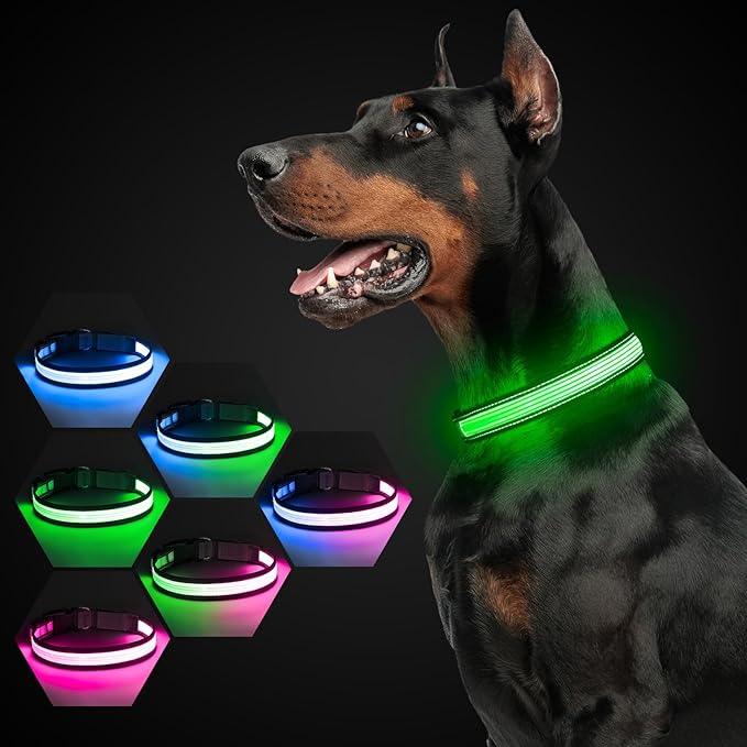 Multi-Color Light up Dog Collar, YFbrite USB Rechargeable LED Puppy Collar Super Bright Adjustable
