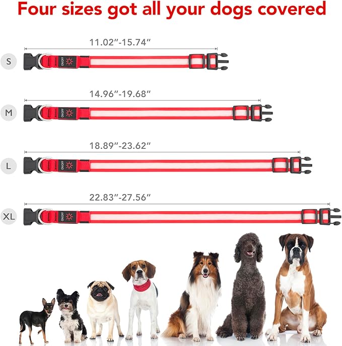 Vizpet LED Dog Collar, Light Up Dog Collar Adjustable USB Rechargeable Super Bright Safety Light