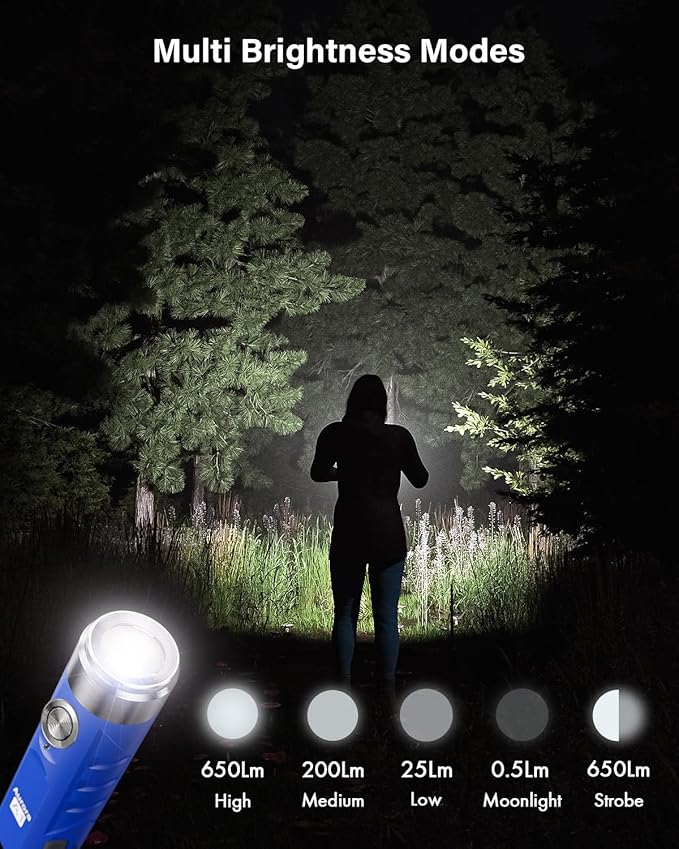 RovyVon Aurora A1 G4 USB C Rechargeable Mini Flashlight, Small Bright Keychain Flashlight 650 High