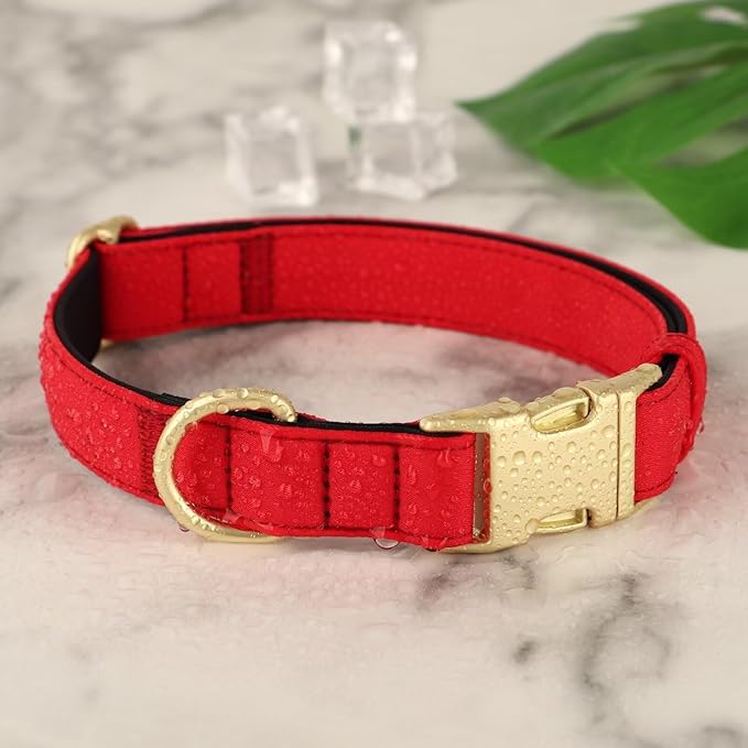 Didog Soft Padded Dog Collar for Large Dogs, Colorful and Durable Pet Collar with Quick Release