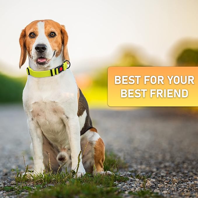 Adjustable Dog Collar with QR Code Dog Tag ID Attached - Made in USA - Honeycomb Waterproof Heavy