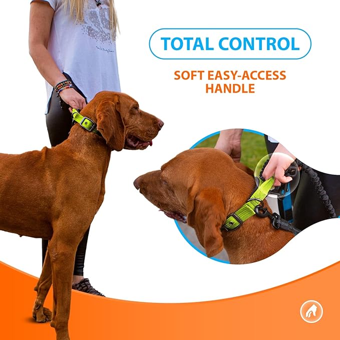 SparklyPets Heavy Duty Dog Collar with Handle for Medium and Large Dogs ??Professional Collar with