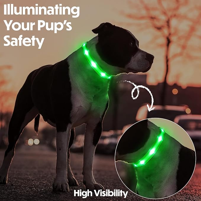 Light Up Dog Collar ??Reflective, Adjustable, Rechargeable Electronic Glow Pet Collars ??Bright