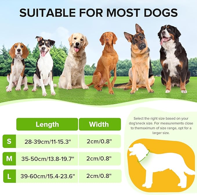 Light Up Dog Collar, Adjustable USB Rechargeable Glow in Dark Dog Collar ，Waterproof Dog Collars