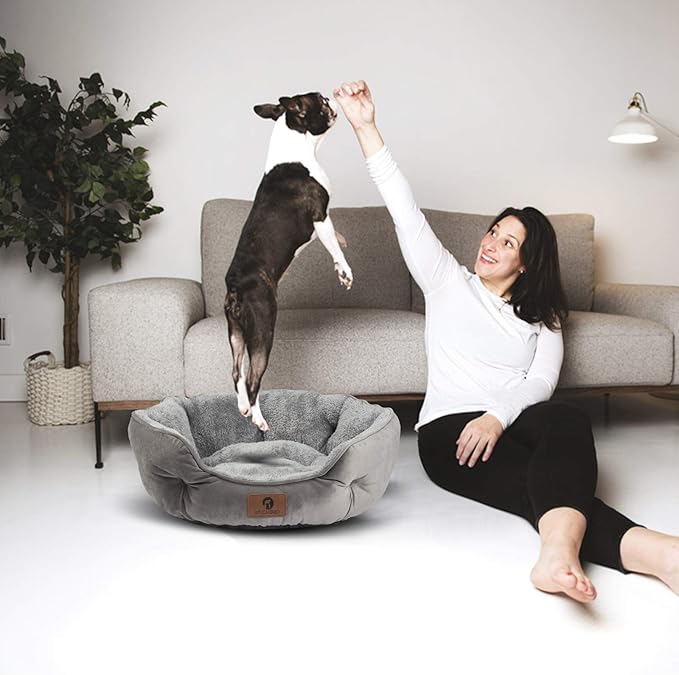 Asvin Medium Dog Bed for Medium Dogs, Cat Beds for Indoor Cats, Pet Bed for Puppy and Kitty, Extra