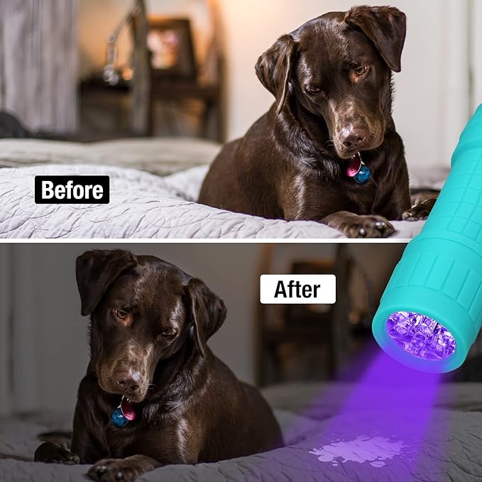 EverBrite Black Light Flashlight 6 Pack, UV Mini Flashlight, 9-Led 395nm Detector for Pet Urine