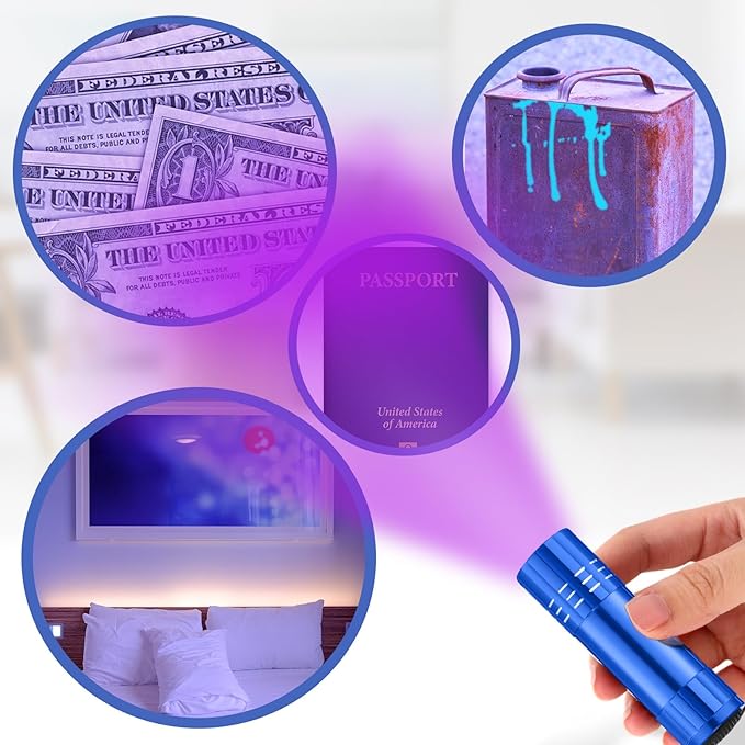 Riakrum 12 Pieces UV Blacklight Flashlights LED Handheld Mini Light Flashlight Small Portable