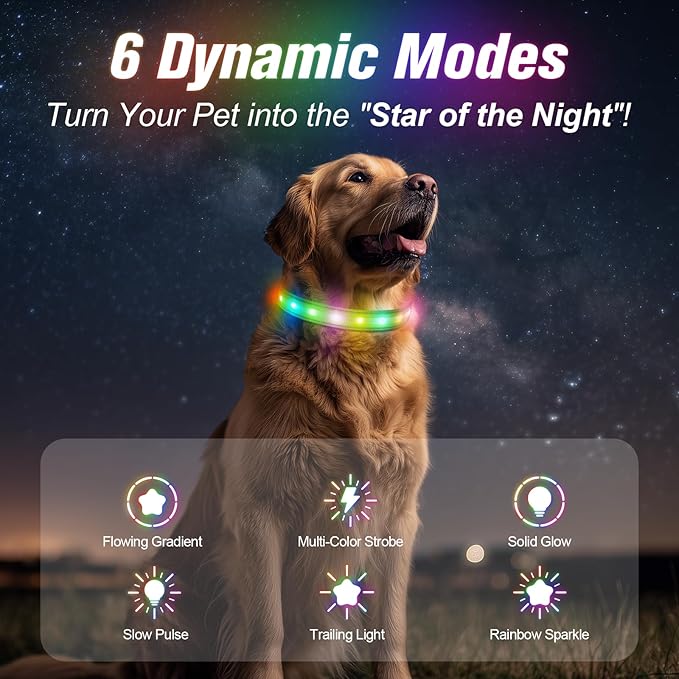 LED Dog Collar, Light Up Dog Collar, USB Rechargeable - Brightest Dog Lights for Night Walking, 6