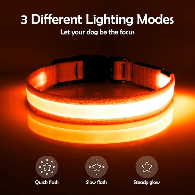 Vizpet LED Dog Collar, Light Up Dog Collar Adjustable USB Rechargeable Super Bright Safety Light