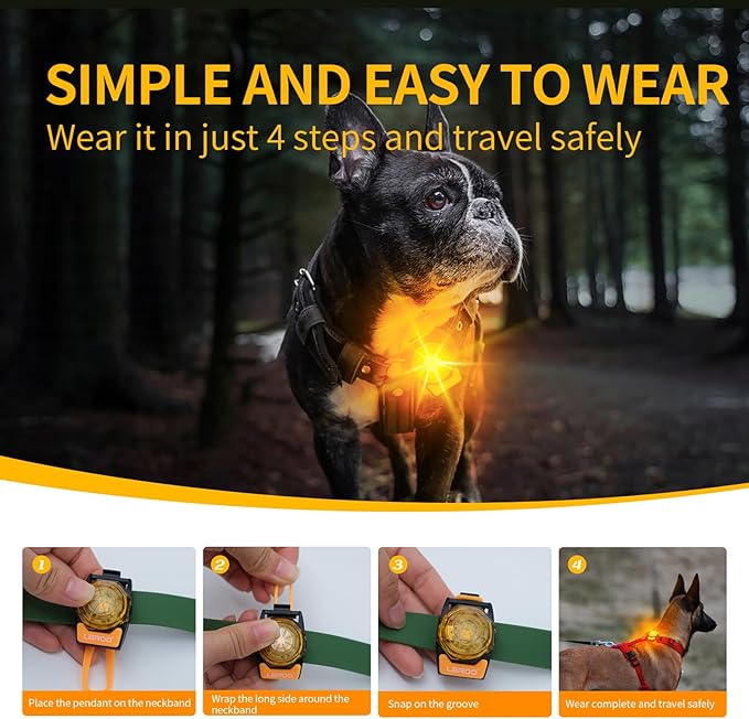 LaRoo Dog Lights for Night Walking,USB-C Rechargeable Safety Lights，Only 13g for Small Dogs, 3