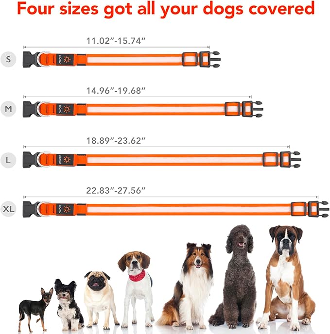 Vizpet LED Dog Collar, Light Up Dog Collar Adjustable USB Rechargeable Super Bright Safety Light