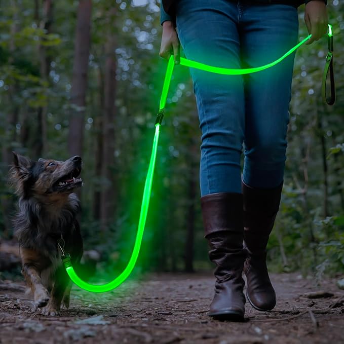 Colaseeme Light Up Dog Leash, LED Pet Leashes USB Rechargeable, Glow Safety Dogs Lights at Night