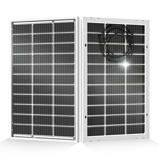 ECO-WORTHY 200 Watt Bifacial Solar Panel 2pcs 100 Watt Monocrystalline Solar Panel Module Off Grid