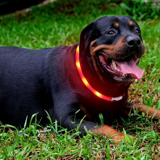 LED Dog Collar,USB Rechargeable Glowing Dog Collars, Light Up Collar Improved Pet Safety