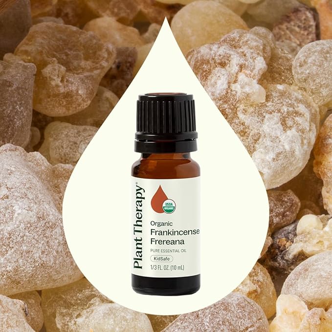 Plant Therapy Organic Frankincense Frereana Essential Oil 100% Pure, USDA Certified Organic
