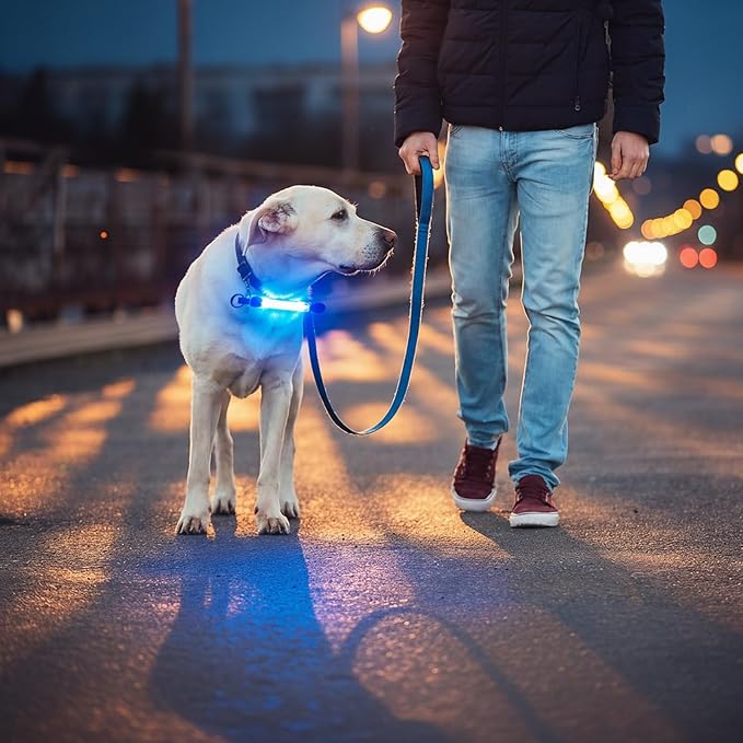 2 Pack LED Light for Dog Leash Harness, USB Rechargeable Light Up Collar with Nylon Stickers, Glow