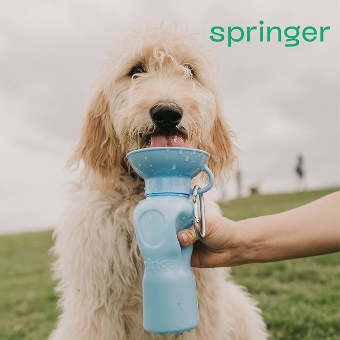 Springer Dog Water Bottle | Portable Travel Water Bottle Dispenser for Dogs | Dog Gift Seen on