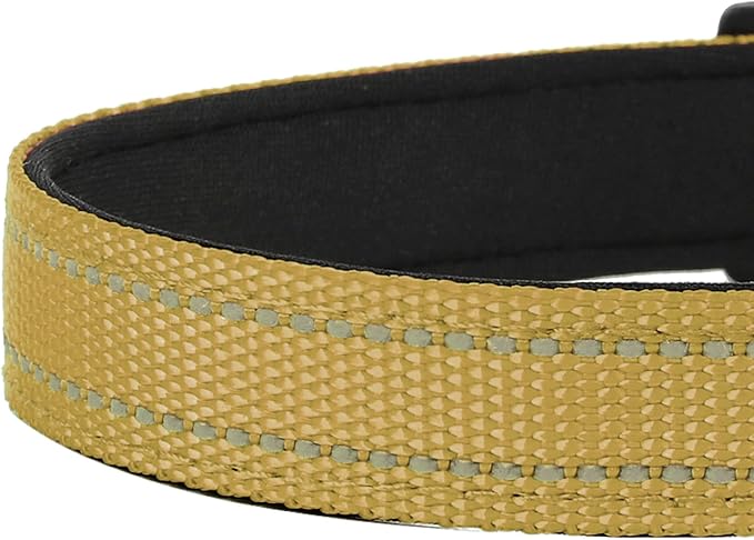 Reflective Dog Collar, Adjustable Soft Neoprene Padded Nylon Pet Collars with Buckle for Puppy and