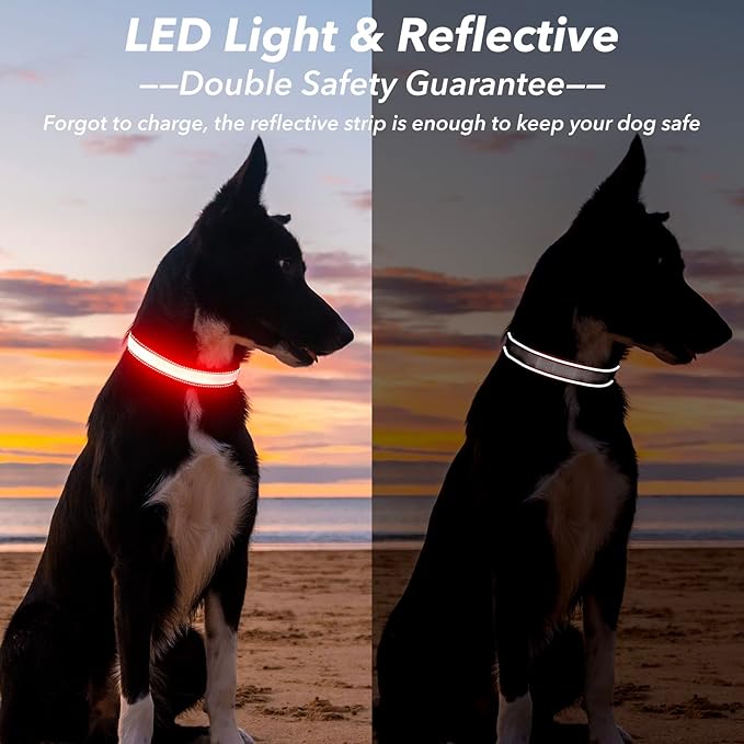 Visinite LED Dog Collar USB Rechargeable, Reflective Light Up Pet Collar for Night Walking