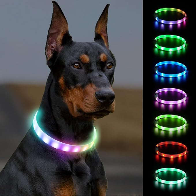 Joytale Light Up Dog Collar, Rainproof and Rechargeable LED, 9 Flashing Modes, Glow for Night