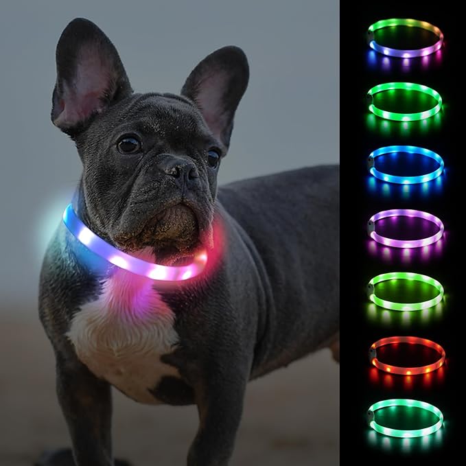 Joytale Light Up Dog Collar, Rainproof and Rechargeable LED, 9 Flashing Modes, Glow for Night