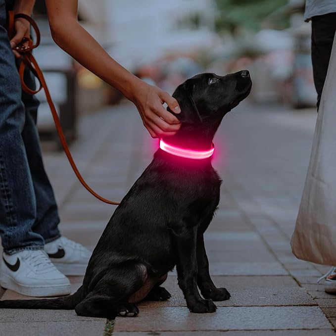 Illumifun LED Dog Collar, USB Rechargeable Light Up Dog Collars, Waterproof Adjustable Safety