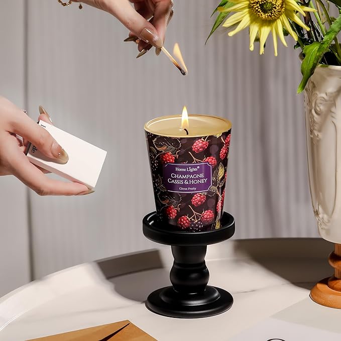 HomeLights Scented Candles for Women & Men, 6.7oz Candle Jars Aromatherapy Single Wick Candle