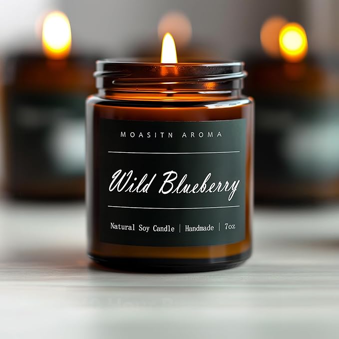 MOASITN Blueberry Highly Scented Candles for Home| Natural Soy Aromatherapy Candle| Handmade Long
