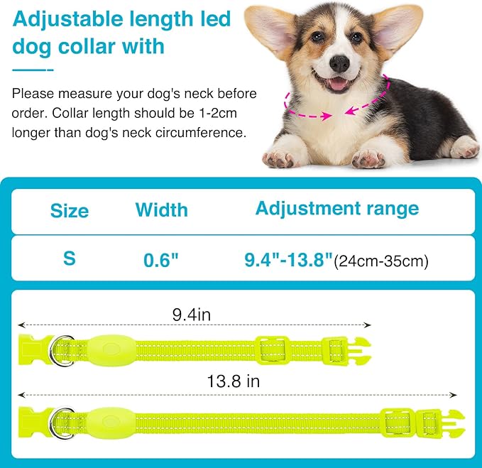 LED Dog Collar - Light Up, Adjustable, Rechargeable, Waterproof, Glow in Dark for Small Pets (S