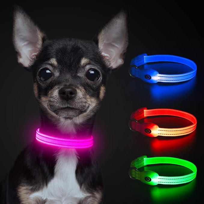 YFbrite Light up Dog Collars for Night Walking, Rechargeable LED Cat Collar, Comfortable Adjustable
