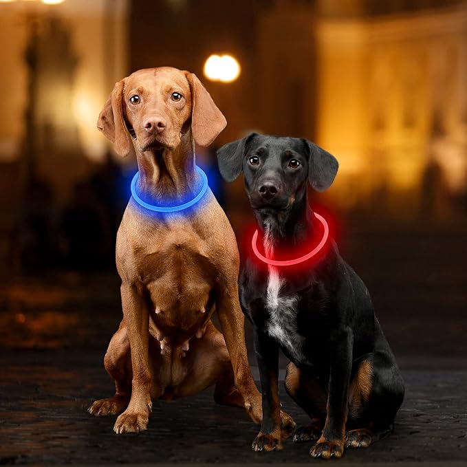 Light Up Dog Collar, Dlitk Rechargeable Cuttable LED Dog Collars, Pet Safety Light at Night Walking