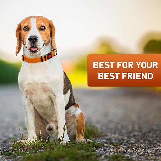 Adjustable Dog Collar with Safety Lock Buckle - Made in USA - Honeycomb Waterproof Heavy Duty Dog
