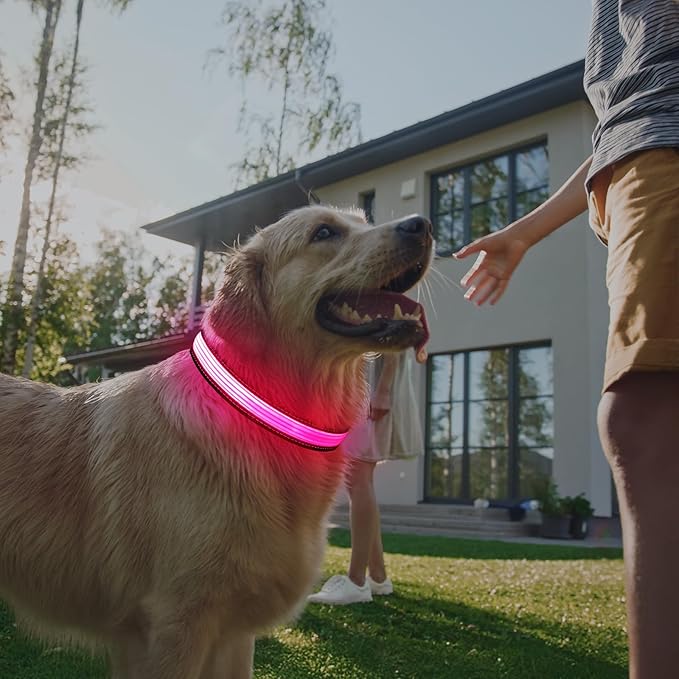 Multi-Color Light up Dog Collar, YFbrite USB Rechargeable LED Puppy Collar Super Bright Adjustable