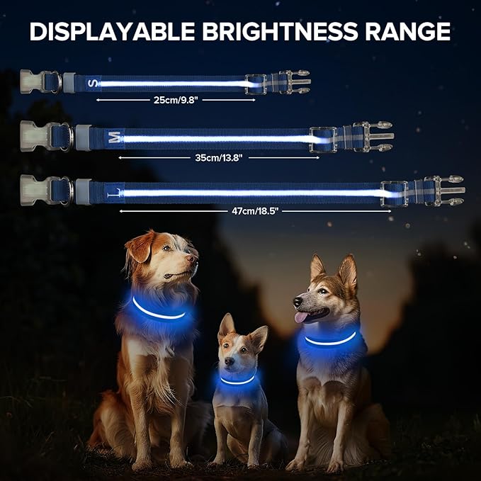 Light Up Dog Collar, Adjustable USB Rechargeable Glow in Dark Dog Collar ，Waterproof Dog Collars
