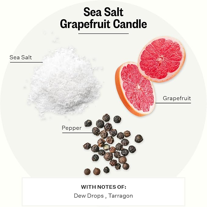 Apotheke 3-Wick Scented Candles for Home, Sea Salt Grapefruit - 26 oz Soy Wax Jar Candle Gift for