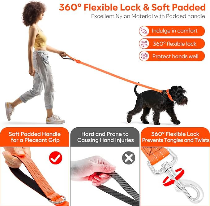LED Dog Leash, Light Up Dog Leash 4 Ft USB Rechargeable Waterproof, Nylon Reflective Leashes with