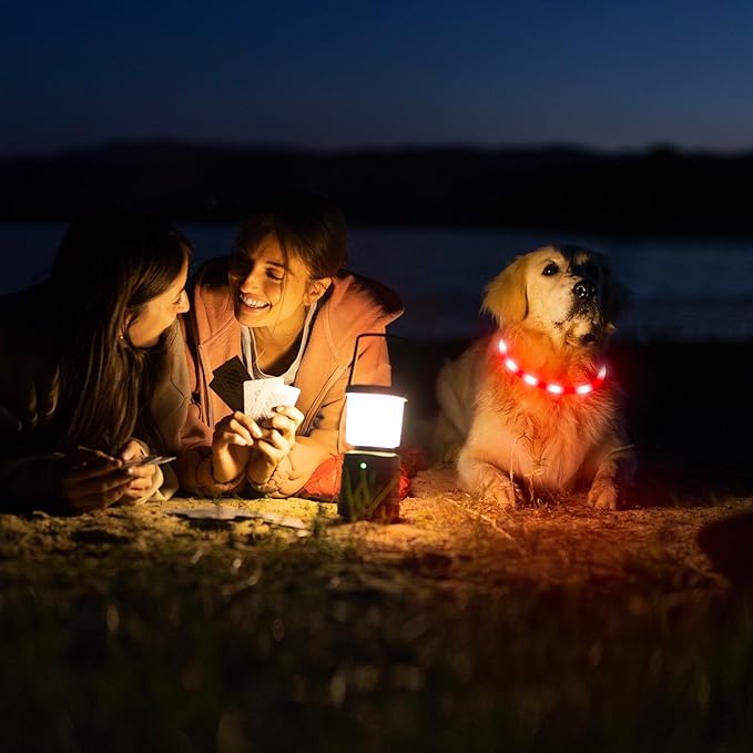 HIGO Light Up Dog Collar, Lightweight Silicone LED Dog Collar, USB Rechargeable Dog Collar Light