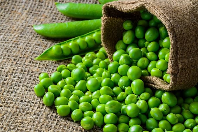 Food to Live Green Split Peas, 18 Pounds – Dried, Vegan, Kosher, Bulk. Easy to Cook. Rich in