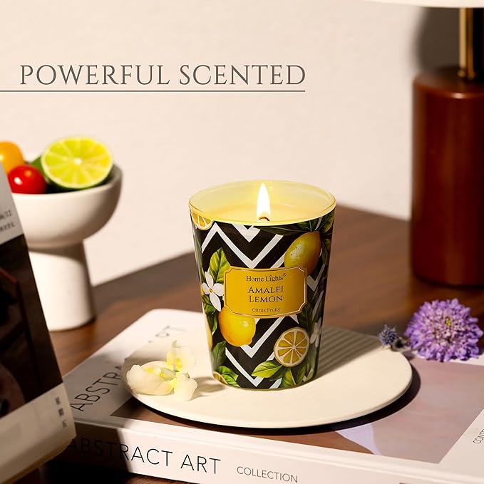 HomeLights Large jar Candle | 1-Wick Long-Lasting Scented Candles, 6.7oz Natural Soy Wax Candle for
