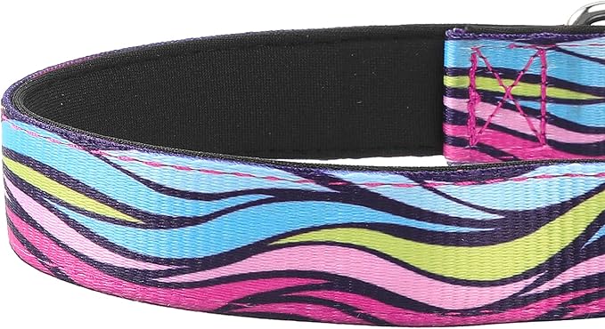 Reflective Dog Collar, Adjustable Soft Neoprene Padded Nylon Pet Collars with Buckle for Puppy and