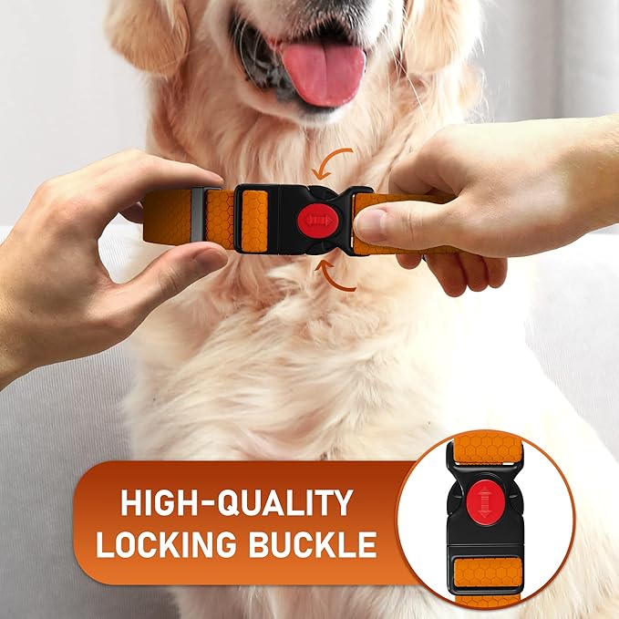 Adjustable Dog Collar with Safety Lock Buckle - Made in USA - Honeycomb Waterproof Heavy Duty Dog