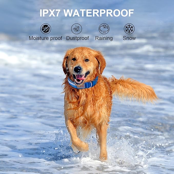 CHUKCHI LED Dog Collar Rechargeable,Waterproof Flashing Collar,Light Up Glow Collar, Adjustable