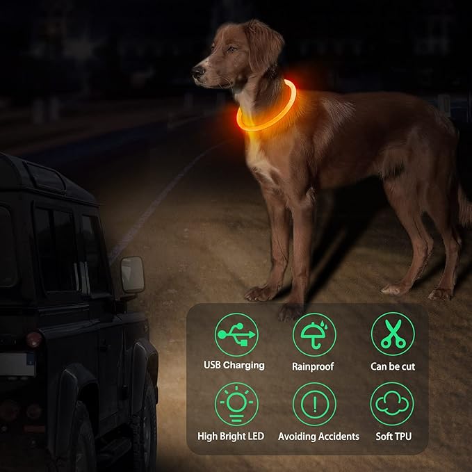 Light Up Dog Collar, Dlitk Rechargeable Cuttable LED Dog Collars, Pet Safety Light at Night Walking