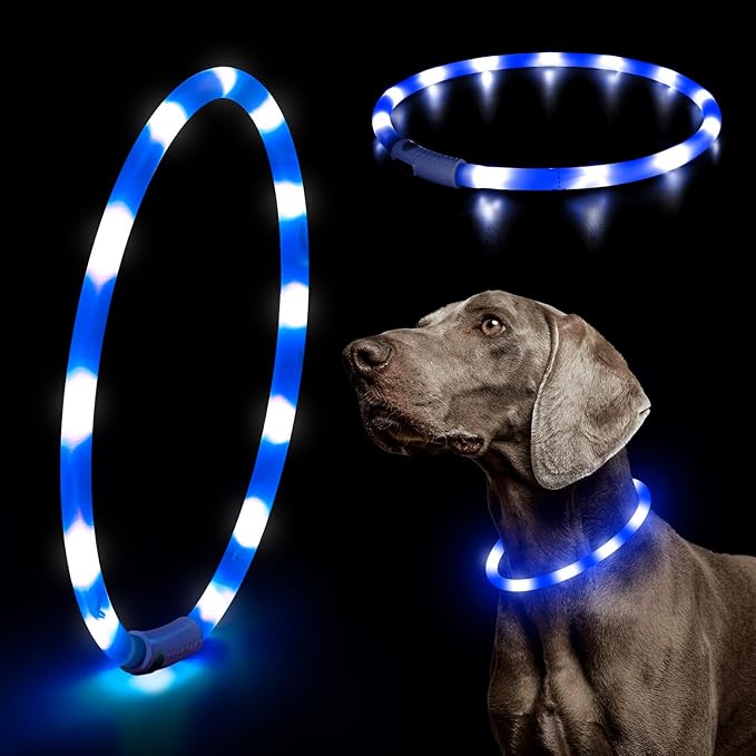 HIGO Light Up Dog Collar, Lightweight LED Dog Collar for Dogs Cats, USB Rechargeable LED Dog